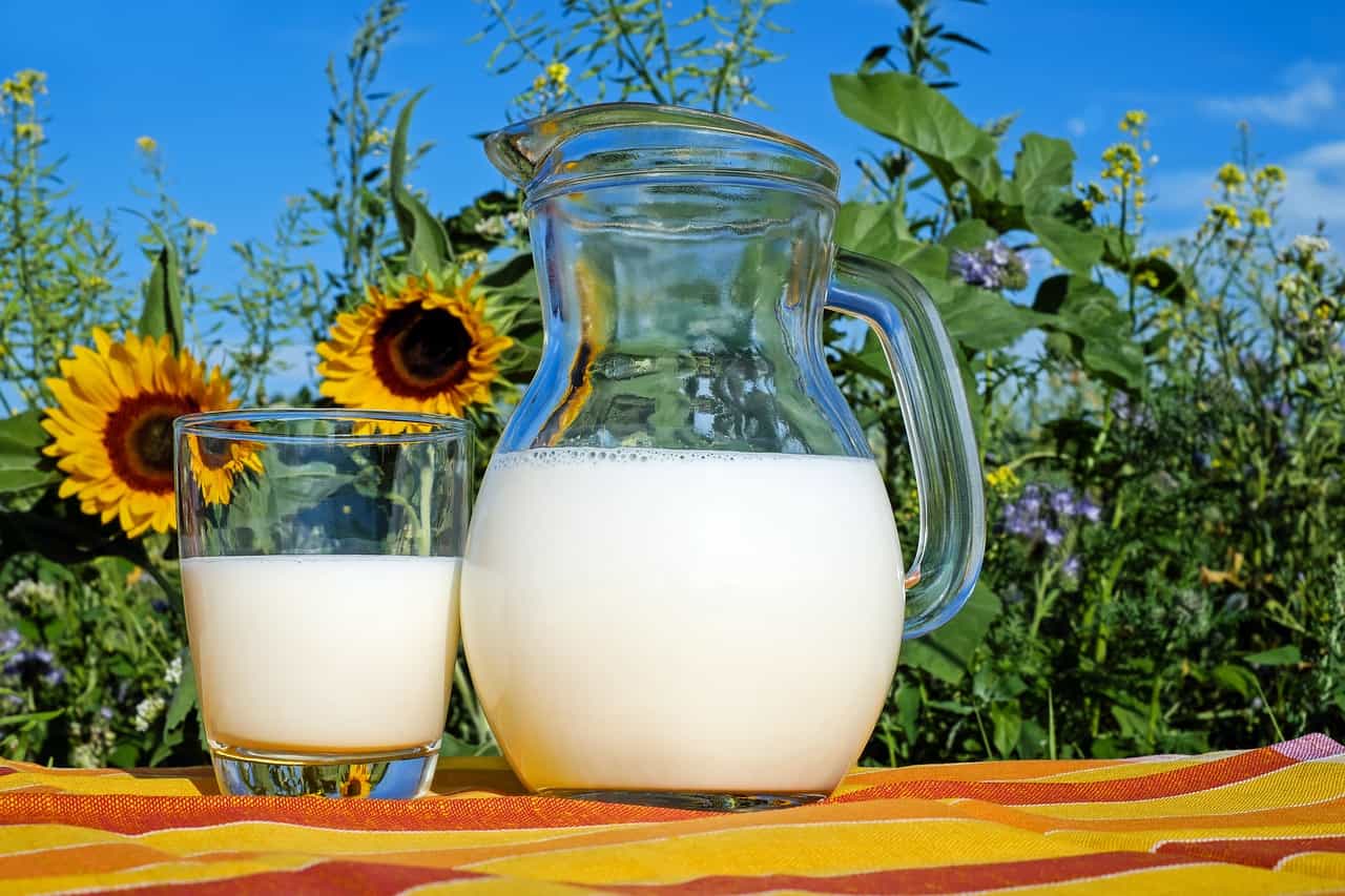 Evde Süt Köpürtme Nasıl Yapılır?