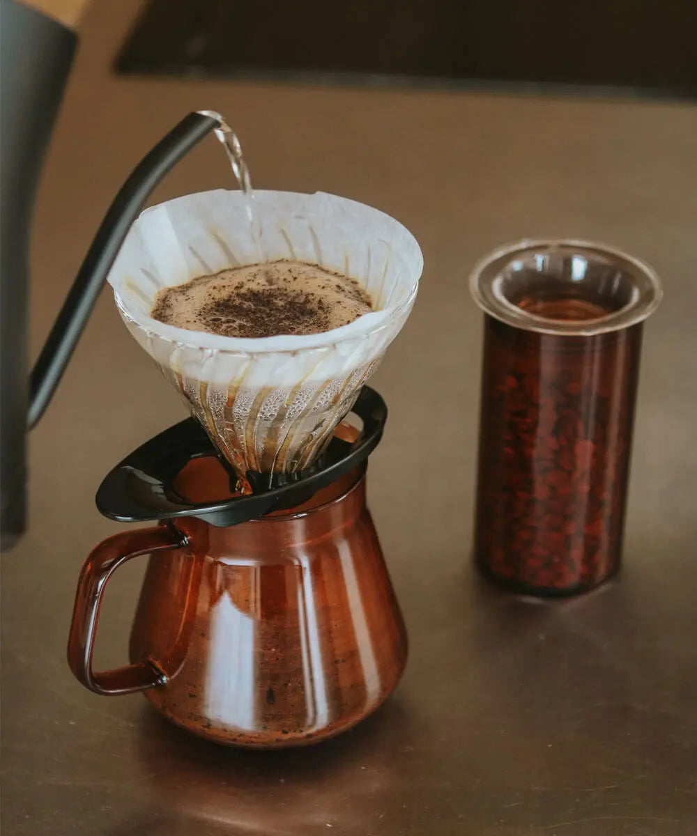Hario COLORS Coffee Servis Sürahisi 600 ml Amber