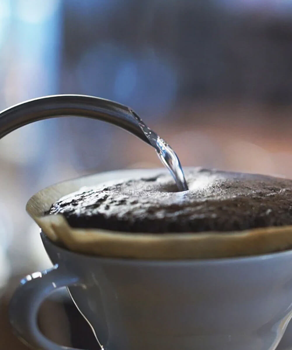 Hario Isı Kontrollü Elektrikli Kettle V60 Buono N