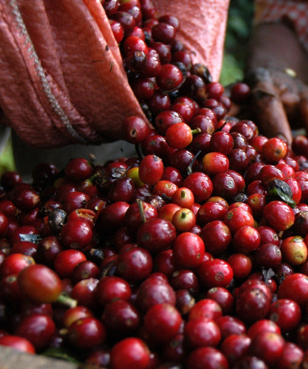 Despado Coffee Brazil 250 Gr