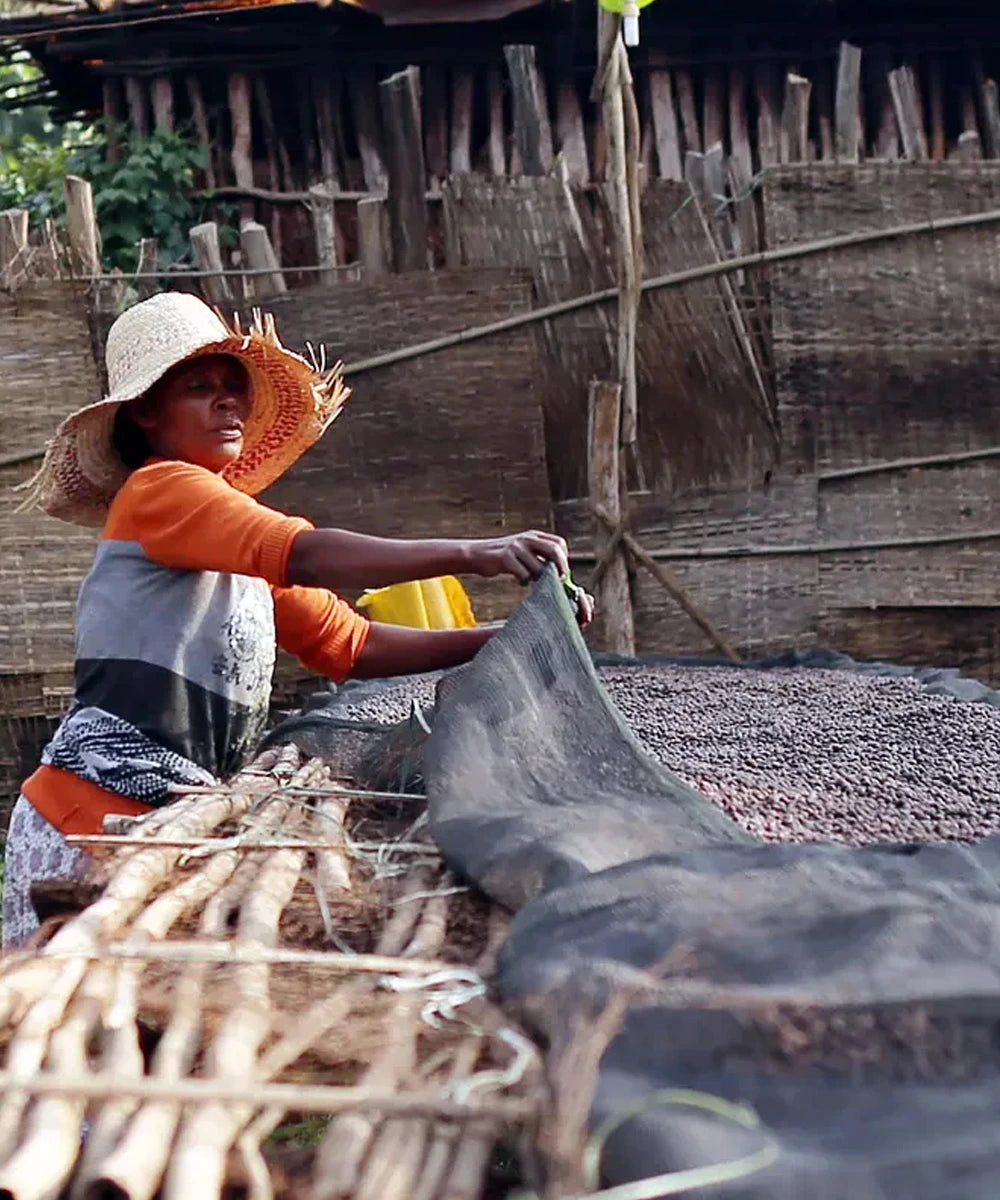 Despado Coffee Ethiopia 250 Gr