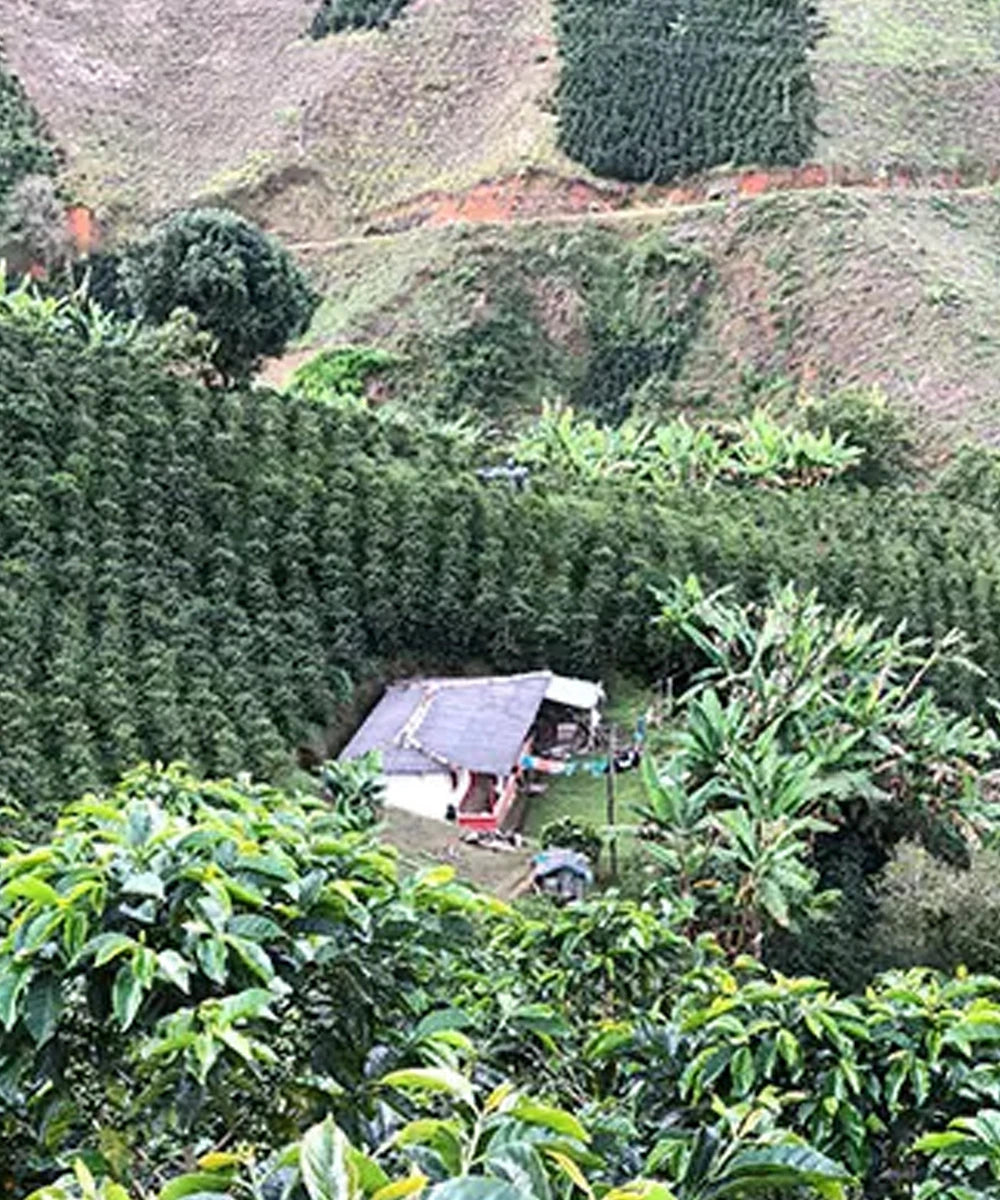 Despado Coffee Colombia 250 Gr