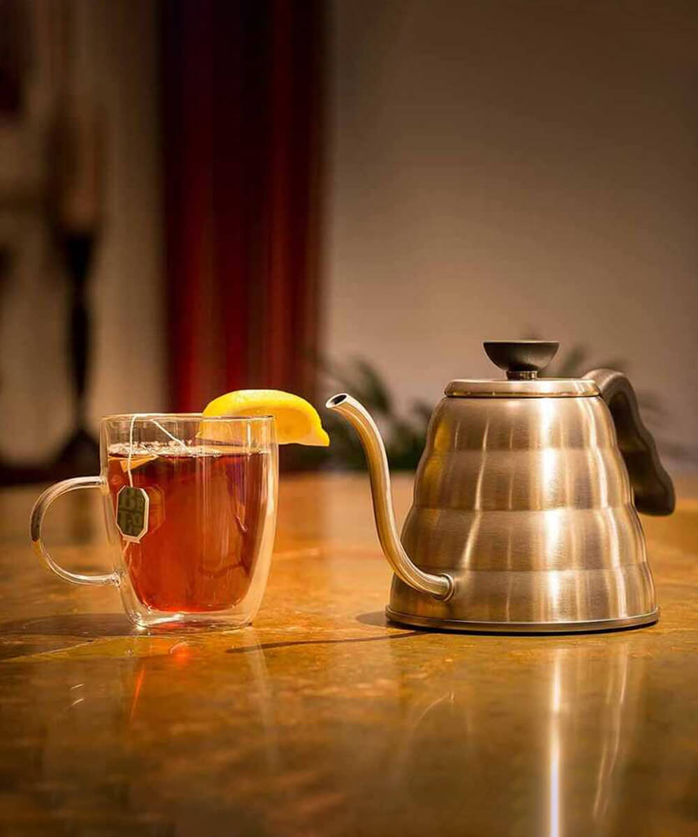 Epinox Barista Kettle 1200 Ml