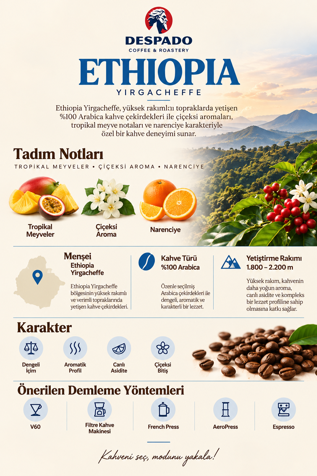 Despado Coffee Ethiopia 250 Gr