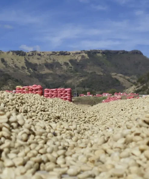 Despado Coffee Kolombia Kahvesi