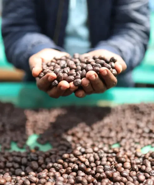 Despado Coffee Ethiopia Kahvesi