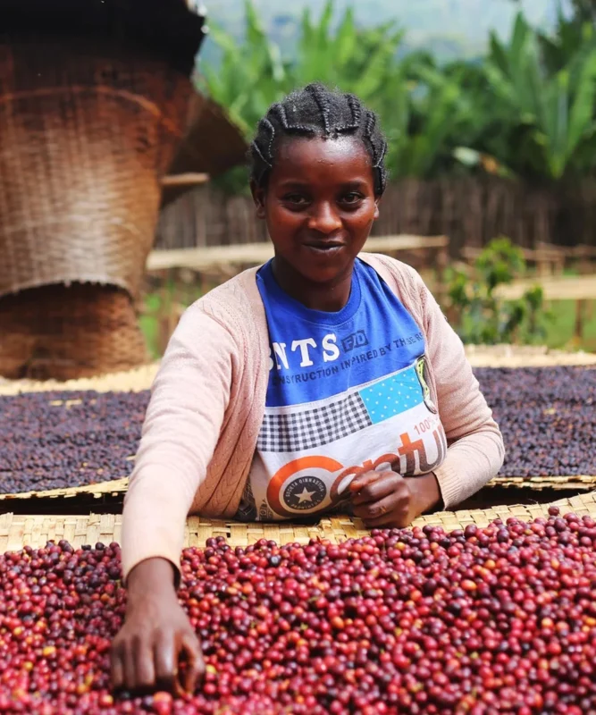 Despado Coffee Ethiopia Kahvesi